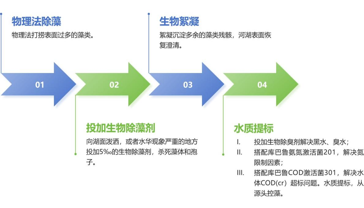 庫巴魯水華治理思路.png