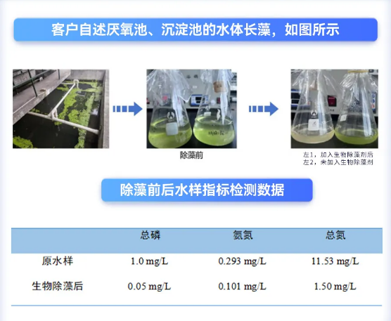 庫巴魯除藻案例分享.png