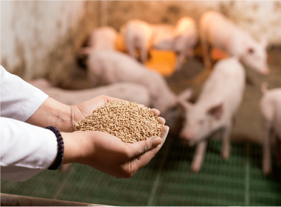 飼料生產廢水處理擴建提標工程，再添新成功應用案例！