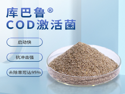 COD提標，不改變工藝，生化系統如何維穩